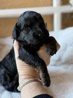 processed/4699521c-22d2-4a74-bf1a-62848d91c4e2/listing/7aeab627-b66d-486c-8f17-d96117497564/9279ea63-095b-4886-89ec-74e8b6cadda6