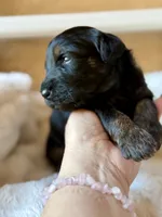 processed/4699521c-22d2-4a74-bf1a-62848d91c4e2/listing/7aeab627-b66d-486c-8f17-d96117497564/a9c2a823-dae2-4953-8033-7feb8954e951