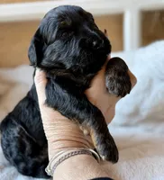 processed/4699521c-22d2-4a74-bf1a-62848d91c4e2/listing/7aeab627-b66d-486c-8f17-d96117497564/c9cd58ee-af97-4553-81e4-cb958a01d59c