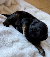 processed/4699521c-22d2-4a74-bf1a-62848d91c4e2/listing/7aeab627-b66d-486c-8f17-d96117497564/e2c4dfe6-f908-4c97-a70c-52ff6d88b00b