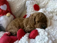 processed/4699521c-22d2-4a74-bf1a-62848d91c4e2/listing/80524519-2ad6-4167-b920-c85b84a42f80/1a236d14-67a1-45d6-944d-cbaa3206e0de