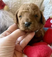 processed/4699521c-22d2-4a74-bf1a-62848d91c4e2/listing/80524519-2ad6-4167-b920-c85b84a42f80/515f36e1-d4dc-40f3-a961-e2b054f64404