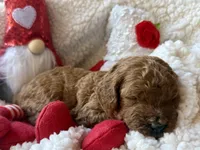 processed/4699521c-22d2-4a74-bf1a-62848d91c4e2/listing/80524519-2ad6-4167-b920-c85b84a42f80/5d471249-d488-446a-9e33-3f19eb526fbd