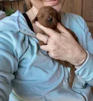 processed/4699521c-22d2-4a74-bf1a-62848d91c4e2/listing/80524519-2ad6-4167-b920-c85b84a42f80/85a5bec0-6097-49c9-bd7b-f71f11f294d4