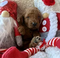 processed/4699521c-22d2-4a74-bf1a-62848d91c4e2/listing/80524519-2ad6-4167-b920-c85b84a42f80/9bbc2f93-96b0-46ec-bff4-340d51a24f56