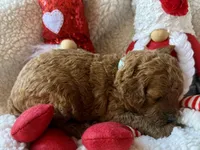 processed/4699521c-22d2-4a74-bf1a-62848d91c4e2/listing/80524519-2ad6-4167-b920-c85b84a42f80/ad2320c3-4180-45ef-9a34-dbcba1e841f3