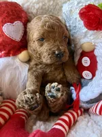 processed/4699521c-22d2-4a74-bf1a-62848d91c4e2/listing/80524519-2ad6-4167-b920-c85b84a42f80/b8a6c9fe-97a3-46fb-b2dd-75c75acc56f1