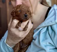 processed/4699521c-22d2-4a74-bf1a-62848d91c4e2/listing/80524519-2ad6-4167-b920-c85b84a42f80/baa85014-c2e0-4960-90a3-7effcaeca097