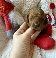 processed/4699521c-22d2-4a74-bf1a-62848d91c4e2/listing/80524519-2ad6-4167-b920-c85b84a42f80/ee0396d1-a25d-446b-8695-f89e7c821e60