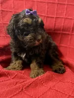 processed/4699521c-22d2-4a74-bf1a-62848d91c4e2/listing/82f5641b-a3fe-4540-9c7b-3d07e225289b/08a6ae60-b989-4e42-847f-4c943eb6070b