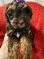 processed/4699521c-22d2-4a74-bf1a-62848d91c4e2/listing/82f5641b-a3fe-4540-9c7b-3d07e225289b/118263f2-0a1d-497e-8fa2-144a6e3912be