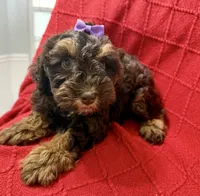 processed/4699521c-22d2-4a74-bf1a-62848d91c4e2/listing/82f5641b-a3fe-4540-9c7b-3d07e225289b/4796e8e1-78e1-407f-86fe-e26670f5c298