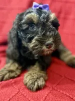 processed/4699521c-22d2-4a74-bf1a-62848d91c4e2/listing/82f5641b-a3fe-4540-9c7b-3d07e225289b/4e0a19a4-6c93-45e1-9f72-ecb435c986e4