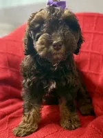 processed/4699521c-22d2-4a74-bf1a-62848d91c4e2/listing/82f5641b-a3fe-4540-9c7b-3d07e225289b/69ff2db4-65a5-4eec-b88b-ab69e69fdf07