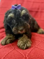 processed/4699521c-22d2-4a74-bf1a-62848d91c4e2/listing/82f5641b-a3fe-4540-9c7b-3d07e225289b/a2635848-b225-49e2-bb93-2319685a056b