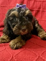 processed/4699521c-22d2-4a74-bf1a-62848d91c4e2/listing/82f5641b-a3fe-4540-9c7b-3d07e225289b/ad7aaa09-3c6b-4e6b-aea2-8b345f9537e9