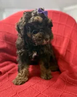 processed/4699521c-22d2-4a74-bf1a-62848d91c4e2/listing/82f5641b-a3fe-4540-9c7b-3d07e225289b/b00bef57-ff28-401f-bc88-947cd4eed8a1