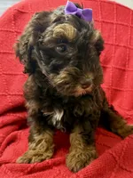 processed/4699521c-22d2-4a74-bf1a-62848d91c4e2/listing/82f5641b-a3fe-4540-9c7b-3d07e225289b/fe4df107-6f60-4517-812f-9e40686e2cac