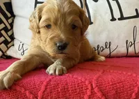 processed/4699521c-22d2-4a74-bf1a-62848d91c4e2/listing/89b02a39-d643-4aec-aef1-f5d599967736/2fac1171-ed50-4597-9d56-712ba8bed25f