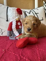 processed/4699521c-22d2-4a74-bf1a-62848d91c4e2/listing/89b02a39-d643-4aec-aef1-f5d599967736/371c68de-b06f-4d04-a627-6ca6847b9313