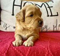 processed/4699521c-22d2-4a74-bf1a-62848d91c4e2/listing/89b02a39-d643-4aec-aef1-f5d599967736/3870f5d0-7b9d-498f-9a26-37dcc711623e