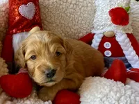 processed/4699521c-22d2-4a74-bf1a-62848d91c4e2/listing/89b02a39-d643-4aec-aef1-f5d599967736/38d393a4-23cd-4dd4-8fbb-fcd382dad3ee