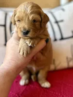 processed/4699521c-22d2-4a74-bf1a-62848d91c4e2/listing/89b02a39-d643-4aec-aef1-f5d599967736/75e45783-daa1-4d96-9fd3-52b0a47836ce