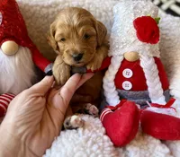 processed/4699521c-22d2-4a74-bf1a-62848d91c4e2/listing/89b02a39-d643-4aec-aef1-f5d599967736/80610d11-901c-4d0c-aa7d-e4b05c10dfdf