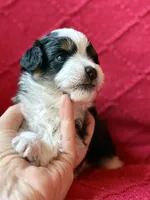 processed/4699521c-22d2-4a74-bf1a-62848d91c4e2/listing/975d194b-f111-42e8-bfed-9cab9110b735/9edcff69-653c-4321-8ccc-08cd1289d7ad