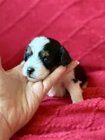 processed/4699521c-22d2-4a74-bf1a-62848d91c4e2/listing/975d194b-f111-42e8-bfed-9cab9110b735/cbe5b81f-e4b3-438f-bda2-49cad683e81c