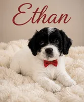 Ethan , a male Cavapoo for sale in Spring Hill, FL – 2 of 10