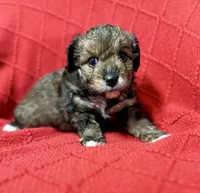 processed/4699521c-22d2-4a74-bf1a-62848d91c4e2/listing/a611258c-fa15-4940-8e3c-7f058fbc6173/0ea7b7b3-f2ad-4554-a590-b1bff0086953