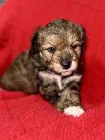 processed/4699521c-22d2-4a74-bf1a-62848d91c4e2/listing/a611258c-fa15-4940-8e3c-7f058fbc6173/872642f1-31e2-4f6c-be0c-739cc4d43c96