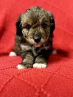 processed/4699521c-22d2-4a74-bf1a-62848d91c4e2/listing/a611258c-fa15-4940-8e3c-7f058fbc6173/aa177d4e-951c-4008-b45d-5e1cf1ed3f50