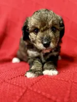 processed/4699521c-22d2-4a74-bf1a-62848d91c4e2/listing/a611258c-fa15-4940-8e3c-7f058fbc6173/abba0334-e4b4-439a-90ab-6b60d107c2ae