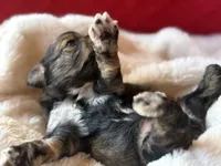 processed/4699521c-22d2-4a74-bf1a-62848d91c4e2/listing/a611258c-fa15-4940-8e3c-7f058fbc6173/b4478102-15bf-4c70-9c56-d1b4ab61e155