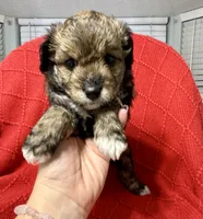 processed/4699521c-22d2-4a74-bf1a-62848d91c4e2/listing/a611258c-fa15-4940-8e3c-7f058fbc6173/e055821a-e6cb-4230-a672-7eaa4d25abea