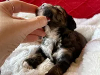 processed/4699521c-22d2-4a74-bf1a-62848d91c4e2/listing/a611258c-fa15-4940-8e3c-7f058fbc6173/fb863ad2-129a-452f-8075-befac28ff537