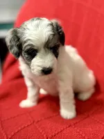 processed/4699521c-22d2-4a74-bf1a-62848d91c4e2/listing/b1d0bef5-bc90-4de0-9ea4-fa0eda28da16/11cba755-87e7-4849-a90d-325ddee67add