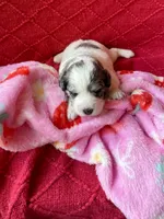 processed/4699521c-22d2-4a74-bf1a-62848d91c4e2/listing/b1d0bef5-bc90-4de0-9ea4-fa0eda28da16/20ad1951-f21a-4150-bb61-4a41b207ef16