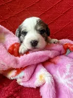 processed/4699521c-22d2-4a74-bf1a-62848d91c4e2/listing/b1d0bef5-bc90-4de0-9ea4-fa0eda28da16/52ec4ce2-e34a-4cd0-af79-ee3564814688