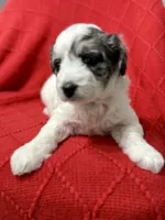 processed/4699521c-22d2-4a74-bf1a-62848d91c4e2/listing/b1d0bef5-bc90-4de0-9ea4-fa0eda28da16/916bac1c-5928-41ba-bdf5-48da17507c26