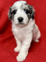 processed/4699521c-22d2-4a74-bf1a-62848d91c4e2/listing/b1d0bef5-bc90-4de0-9ea4-fa0eda28da16/d0f61322-885f-49d5-b004-bd2cc492340d