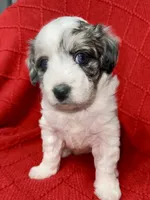 processed/4699521c-22d2-4a74-bf1a-62848d91c4e2/listing/b1d0bef5-bc90-4de0-9ea4-fa0eda28da16/eaa96f52-cd31-49f6-a338-77c3832aba5e