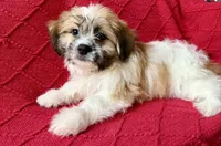 processed/4699521c-22d2-4a74-bf1a-62848d91c4e2/listing/bc93de70-d172-4b6a-acac-a0f3a243633f/13beb93e-bfee-493c-906e-f28c07faf16b