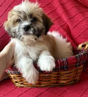 processed/4699521c-22d2-4a74-bf1a-62848d91c4e2/listing/bc93de70-d172-4b6a-acac-a0f3a243633f/21a2a3c8-f0f9-4cc8-b4c2-e2a2f5635c61