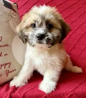 processed/4699521c-22d2-4a74-bf1a-62848d91c4e2/listing/bc93de70-d172-4b6a-acac-a0f3a243633f/32b96d95-93a4-4bcf-a564-413005225a6e