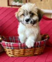 processed/4699521c-22d2-4a74-bf1a-62848d91c4e2/listing/bc93de70-d172-4b6a-acac-a0f3a243633f/5168dba2-66bf-4383-82e5-853f537ae980