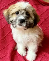 processed/4699521c-22d2-4a74-bf1a-62848d91c4e2/listing/bc93de70-d172-4b6a-acac-a0f3a243633f/75b7510d-e8c2-4be4-a761-8b0265b67a4f