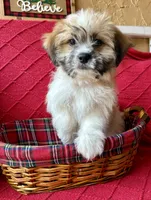 processed/4699521c-22d2-4a74-bf1a-62848d91c4e2/listing/bc93de70-d172-4b6a-acac-a0f3a243633f/8b1c2ea7-1242-44af-91a3-ca1b58ca5440